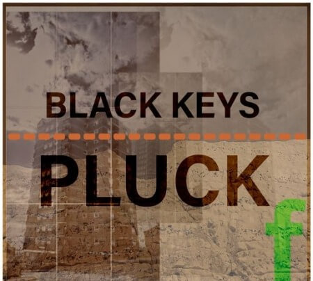 Flintpope BLACK KEYS PLUCK WAV